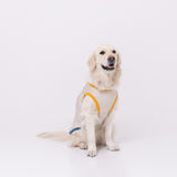 セサミサーフタンク SURF DAYS 中大型犬 ペット用品
