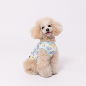 minion ティム メッシュタンク ペット用品 26SS