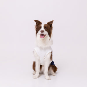 minion ミニオン デニム切替タンク 中大型犬 ペット用品 26SS