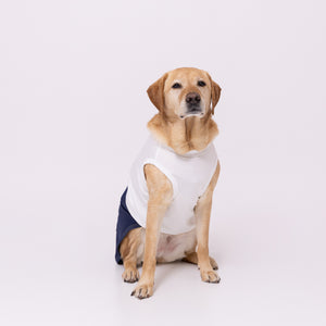 minion ミニオン デニム切替タンク 中大型犬 ペット用品 26SS