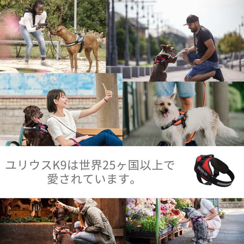 Julius-K9 ユリウスK9 スーパーグリップリード　犬具 お散歩