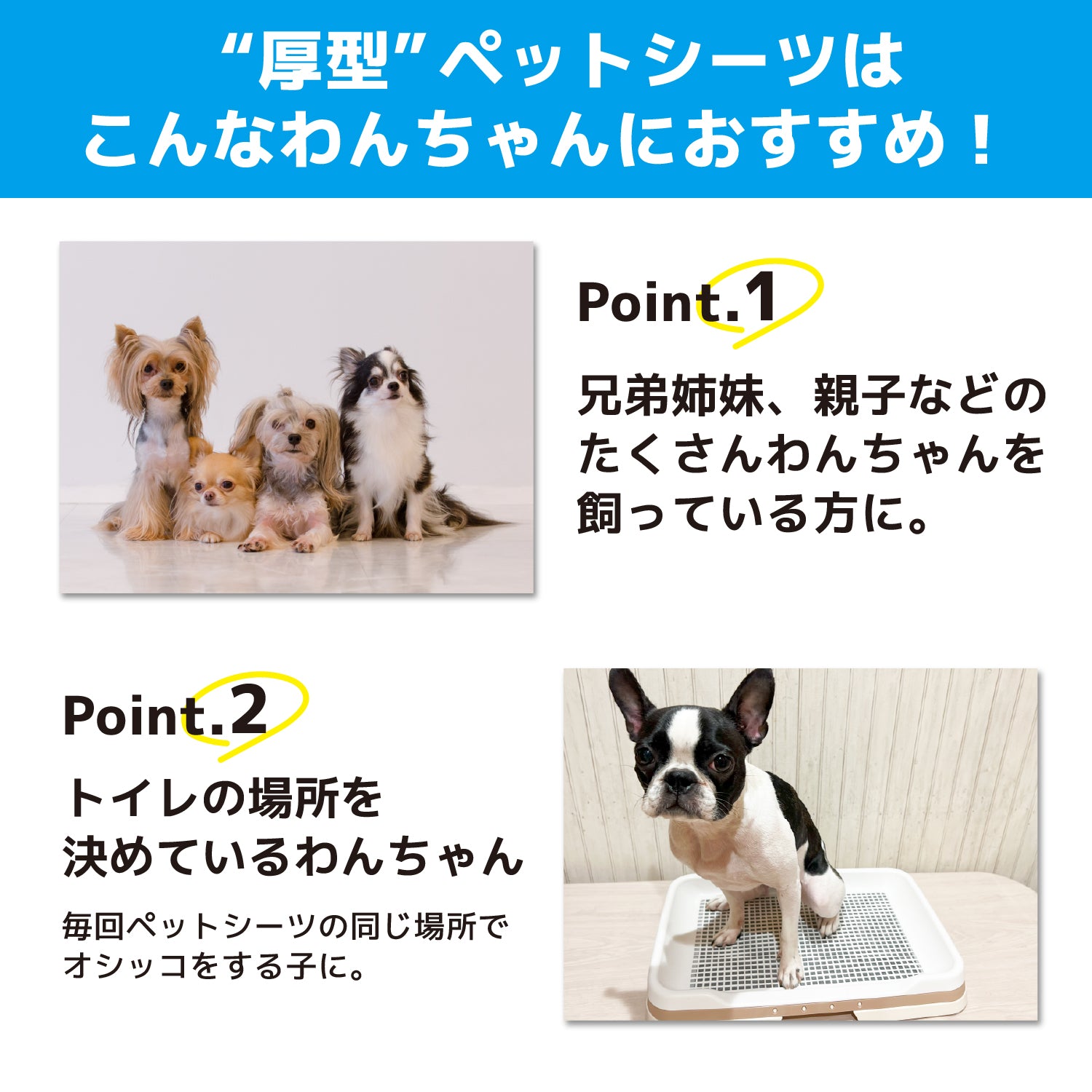 コスパがいい厚型ペットシーツ　レギュラー/400枚　ワイド/200枚　スーパーワイド/100枚