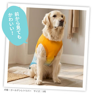OUTDOOR PRODUCTS グラデーションクールタンク 中大型犬 ペット用品 26SS