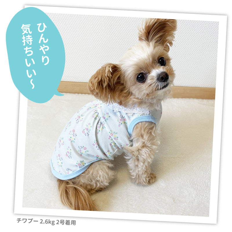 pipi 襟付きフラワー タンクトップ ブルー/イエロー 犬 いぬ 犬服 ペットウェア ドッグウェア 春服 夏服 春夏服 Tシャツ ミニチュアダックス 日焼け対策 接触冷感 ひんやり 冷たい