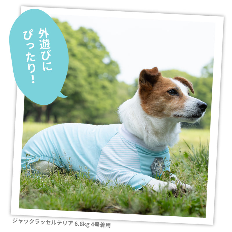 pipi 虫よけ メッシュ ロンパース 犬 いぬ 犬服 ペットウェア ドッグウェア 春服 夏服 春夏服 ミニチュアダックス 日焼け対策 虫除け 蚊よけ 防虫 防ダニ 害虫対策