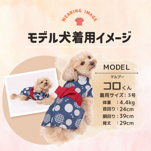 pipi 蜻蛉柄浴衣 ペット用品 26SS