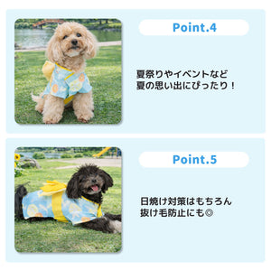 pipi うさぎ柄浴衣 ペット用品 26SS