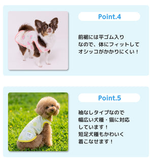pipi フルーツ柄タンク ペット用品 26SS
