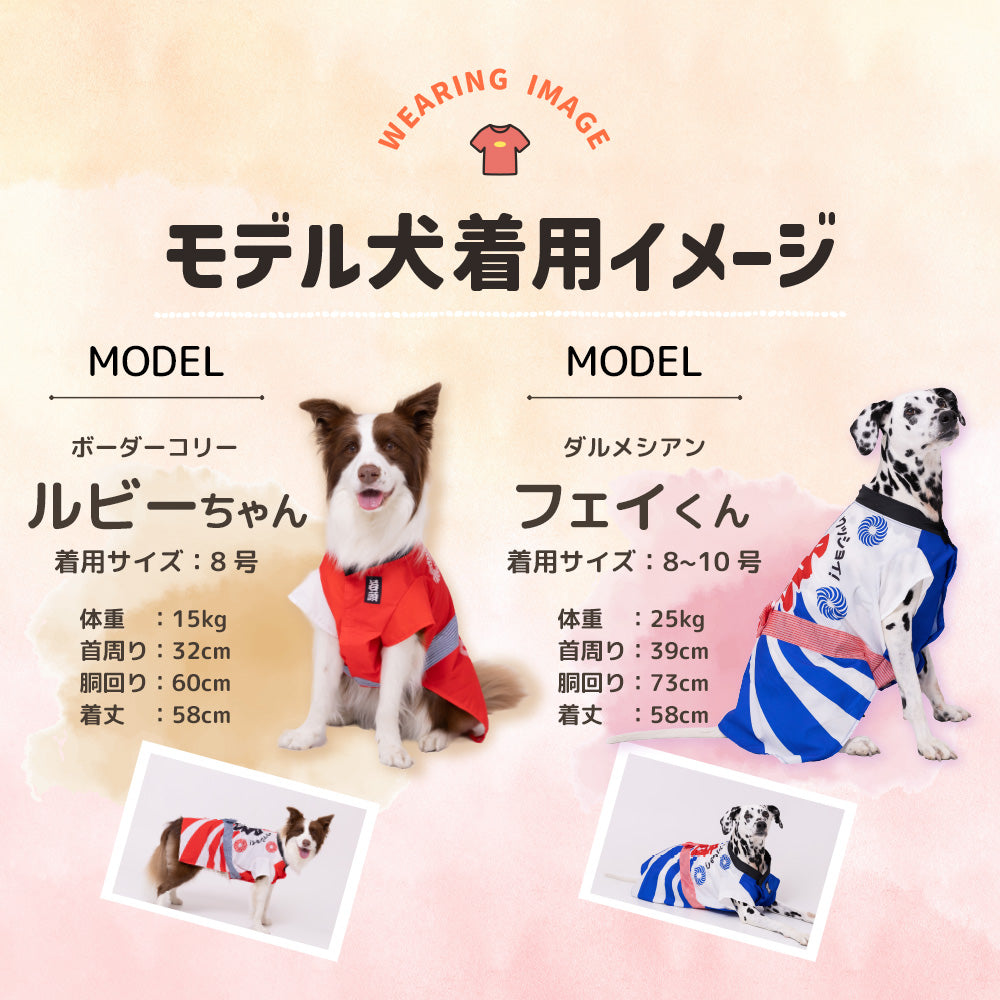 pipi お祭りはっぴ 中大型犬 ペット用品