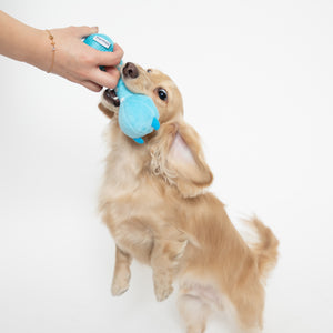 Disney ディズニーカラカラトイ ミッキー・くまのプーさん・サリー・マイク・ロッツォ カラカラ鳴るよ 犬のおもちゃ 猫のおもちゃ 鈴入り