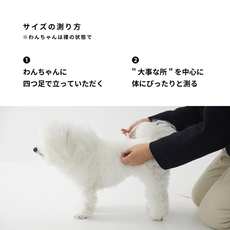 MORVAN ビション・フリーゼのマナーベルト For bichon frise