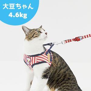 PEANUTS スヌーピーハーネス＆リードセット 4色展開 ペット 犬