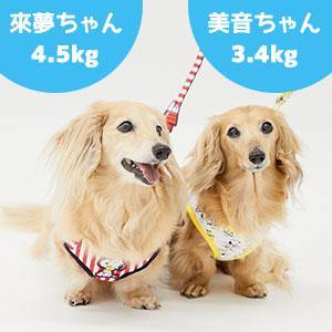 PEANUTS スヌーピーハーネス＆リードセット 4色展開 ペット 犬