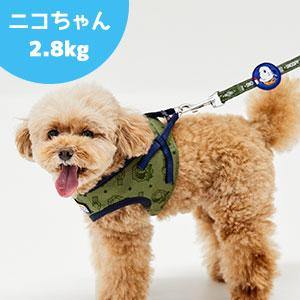 PEANUTS スヌーピーハーネス＆リードセット 4色展開 ペット 犬