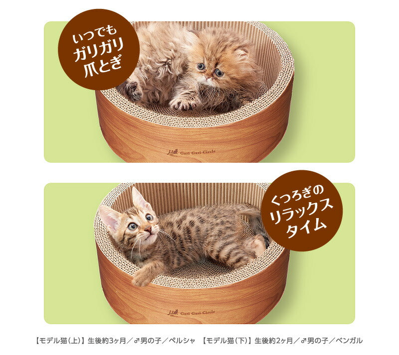 エイムクリエイツ 爪とぎ ガリガリサークルスクラッチャーインテリア ミニ