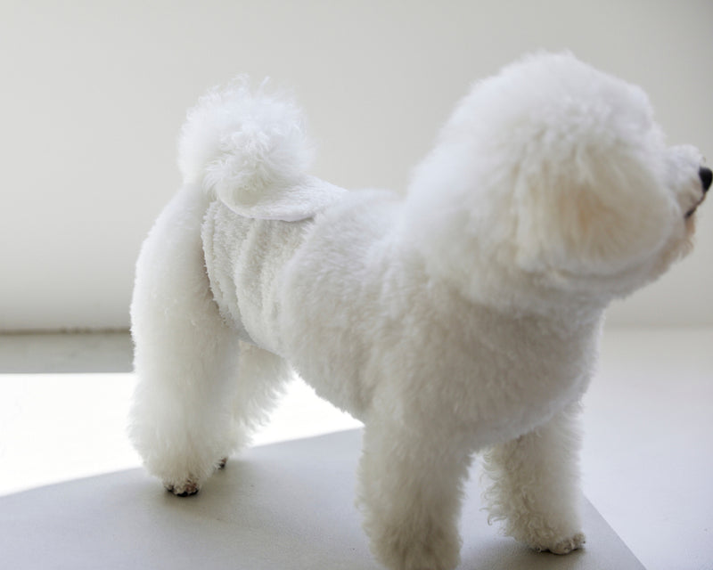 MORVAN ビション・フリーゼのマナーベルト For bichon frise