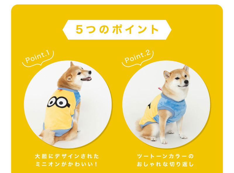 minionマイヤークルー